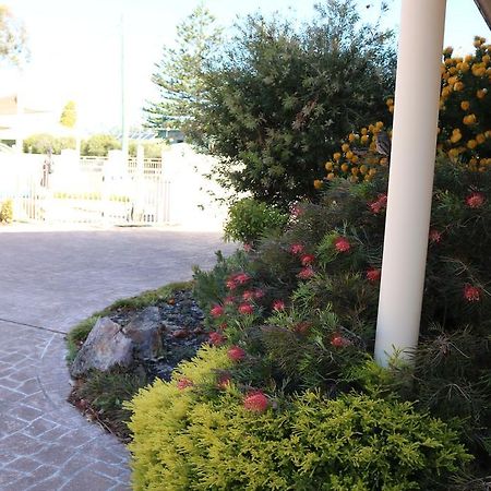 Merimbula Beach Apartments المظهر الخارجي الصورة